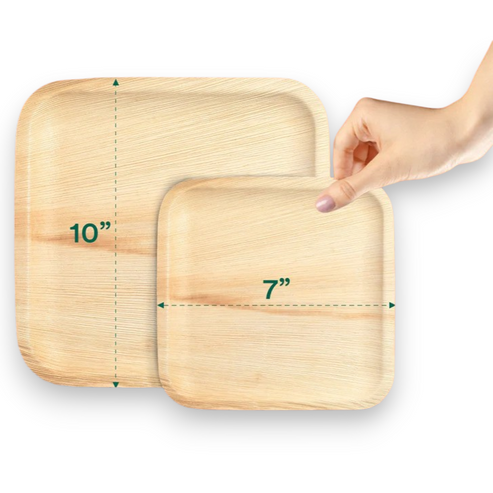 Palm Leaf Dinner Sets – Disposable Eco-Friendly Party Tableware