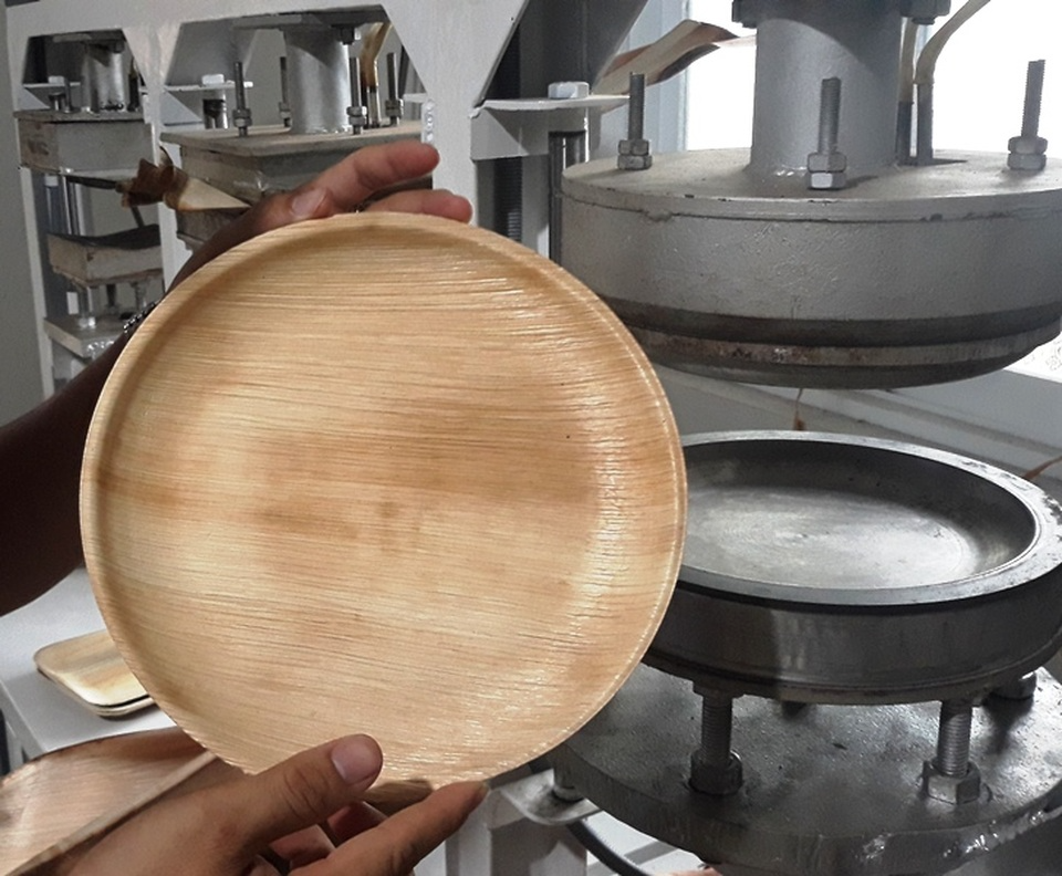 Bulk Buying Palm Leaf Plates – What Global Buyers Need to Know