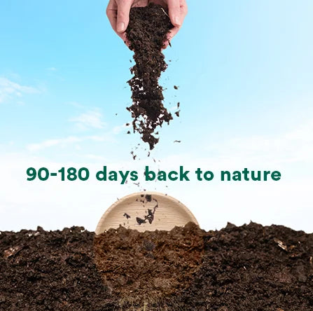 Composting Palm Leaf Plates: Everything You Need to Know