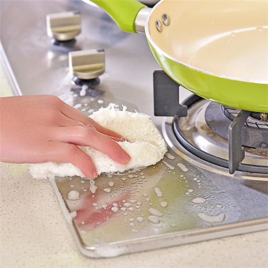 Best Natural Dish Sponge | Sustainable & Zero-Waste Kitchen Cleaning