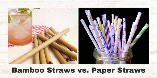 Bamboo Straws vs Paper Straws