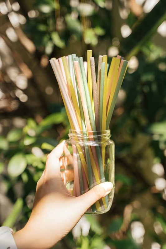 Rice Straws vs Bamboo Straws