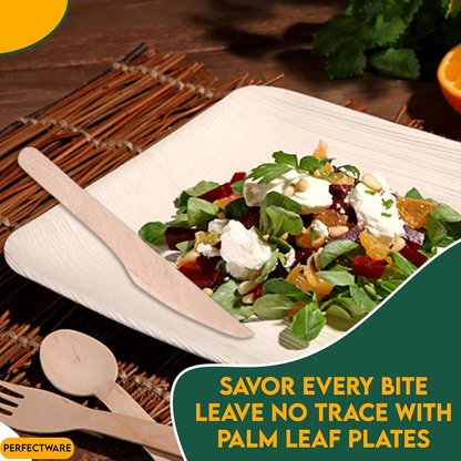 Square Palm Leaf Plates – Eco-Friendly Disposable Dinnerware