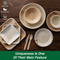 Palm Leaf Tableware Collection